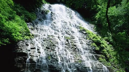 工业高标准